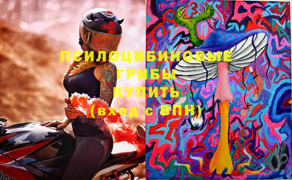 ГАЛЛЮЦИНОГЕННЫЕ ГРИБЫ Няндома